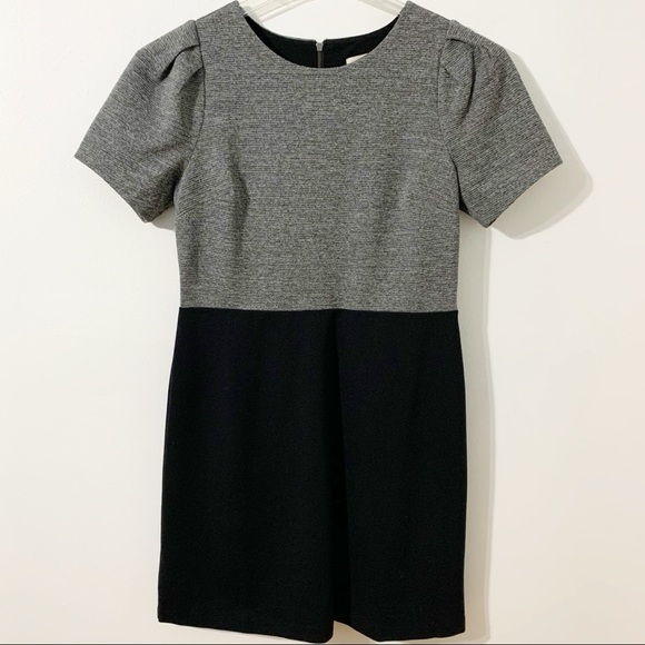 NWT LOFT Ann Taylor Color Block Short Sleeve Gathered Sleeve Dress Exposed Zip - Picture 1 of 7